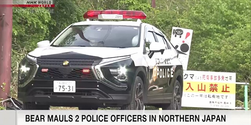 Bear Attack In Northern Japan Leaves 2 Police Officers Seriously